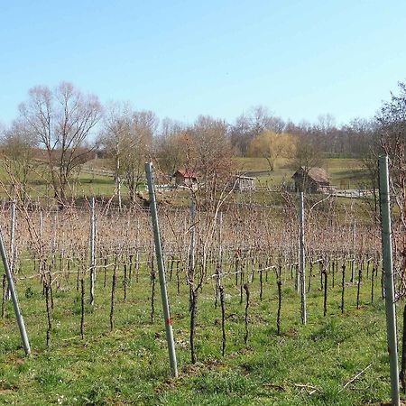 Ferienwohnungen Hog , Ringsheim Extérieur photo