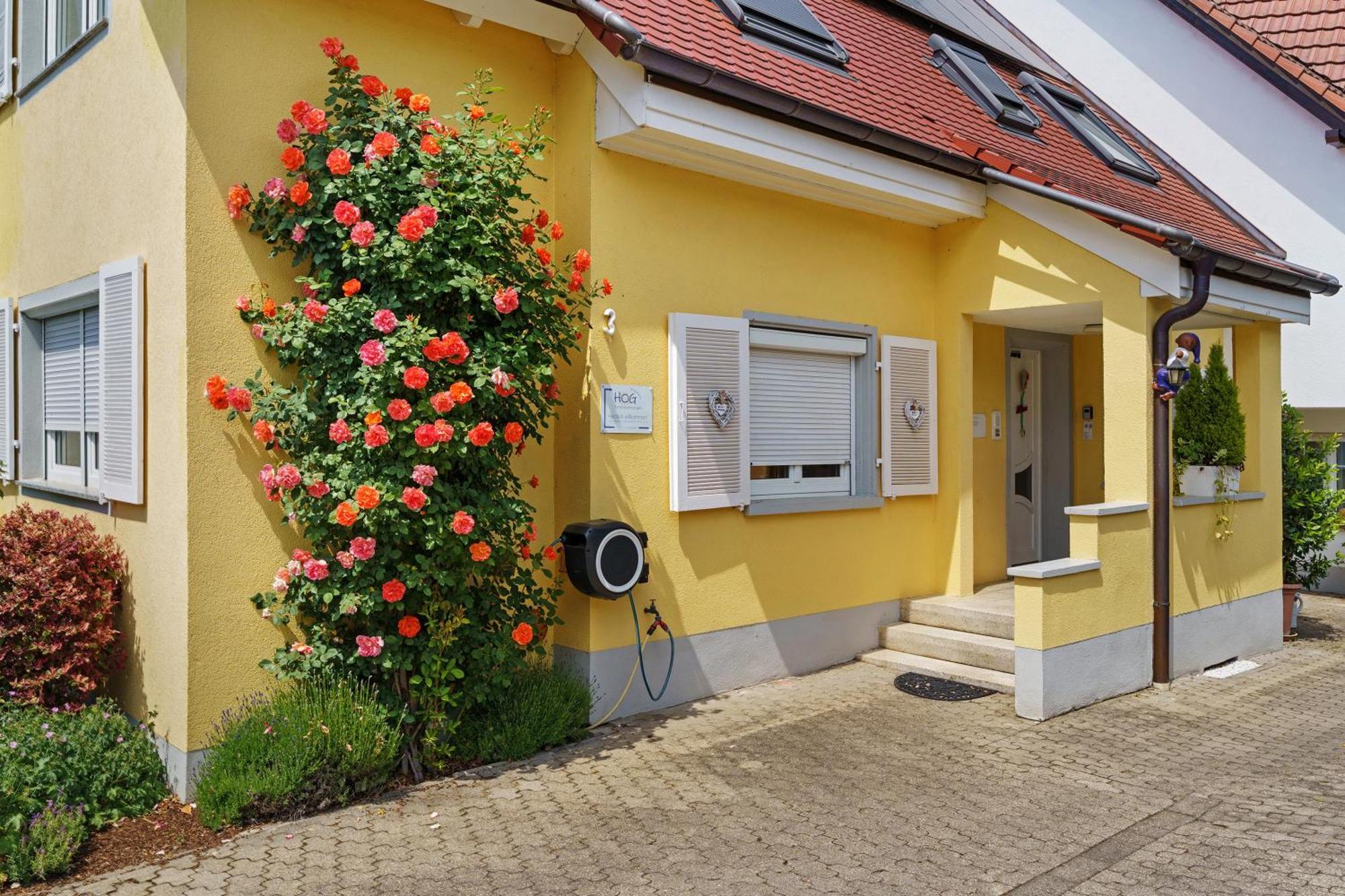 Ferienwohnungen Hog , Ringsheim Extérieur photo