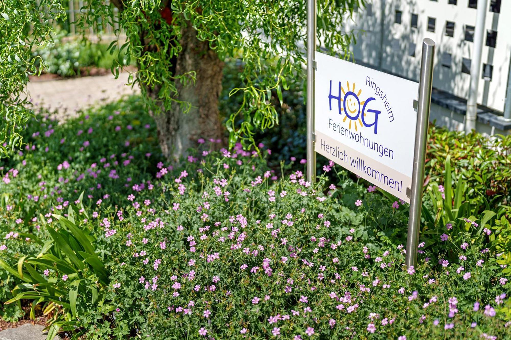 Ferienwohnungen Hog , Ringsheim Extérieur photo